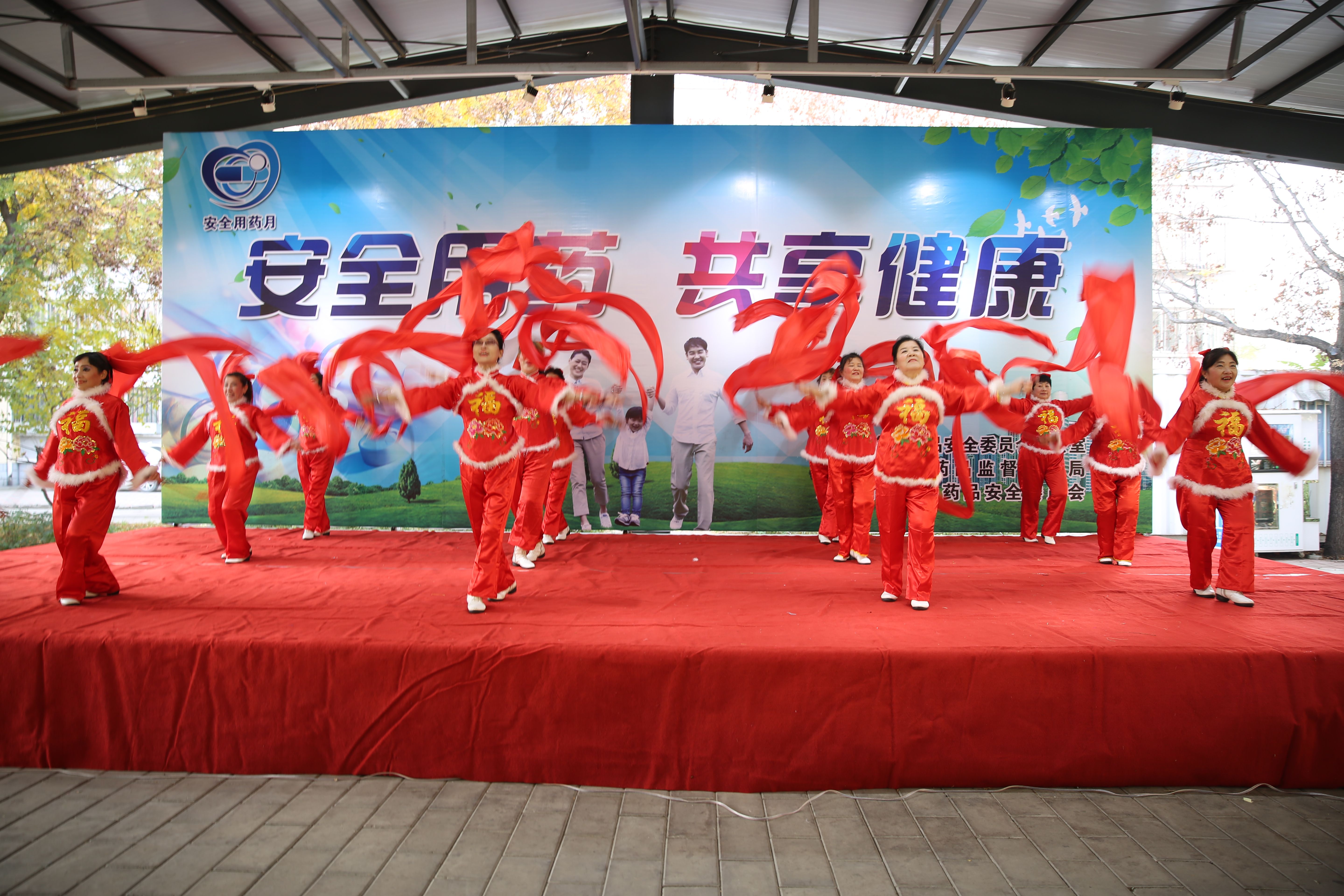 ��ȫ��ҩ  ��������-----˳����ʳҩ...